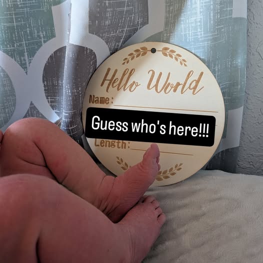 Stepped Away for a Bit